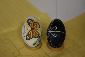 DSC_0657 (2)